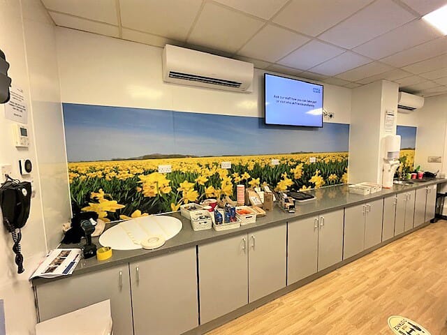 An image of a multi-colored floral wall graphic at NHS Sherwood Forest Hospital.